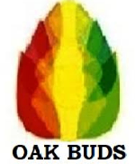 Oak Buds School, Ramnagar logo