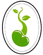 Beanstalk School, Dimapur logo