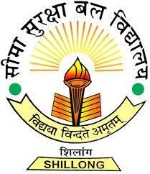 BSF Senior Secondary School, Shillong logo